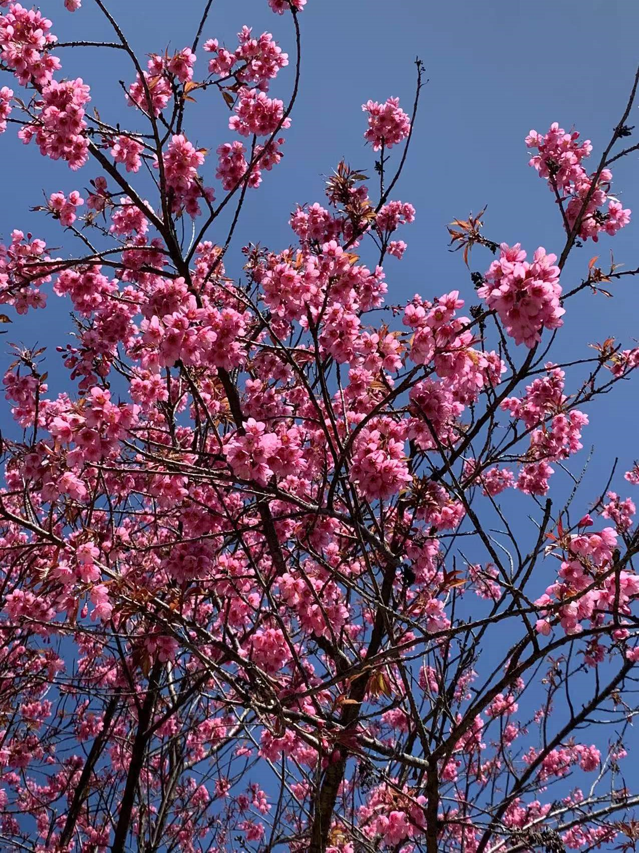 /pic/4/1.png /pic/4/1.png