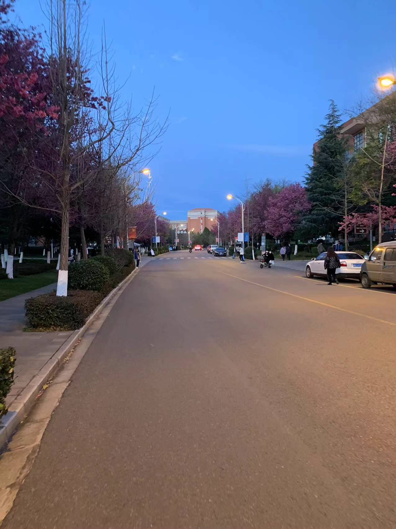 /pic/4/3.png /pic/4/3.png